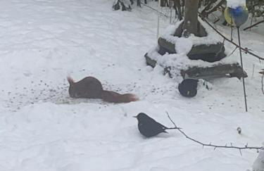 Ferien im Bomlitztal - Foto 52