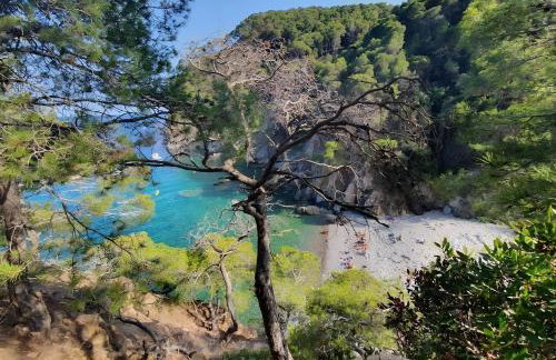 La Terrasse De La Mer 6-Résidence - Foto 42