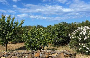 Country House - Photo 25