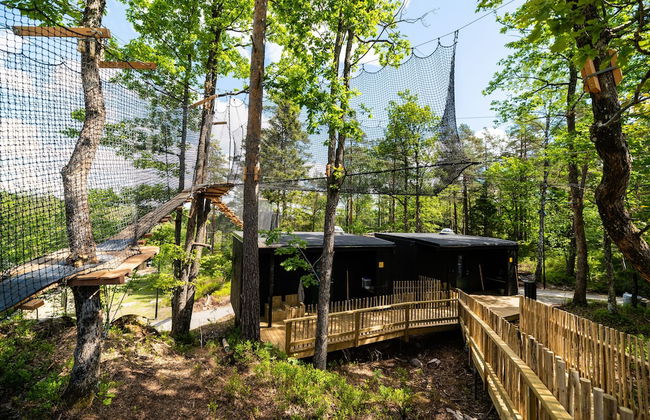 Juliusskogen - Foto 13