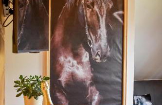 Domki Wiśta Wio - Foto 24