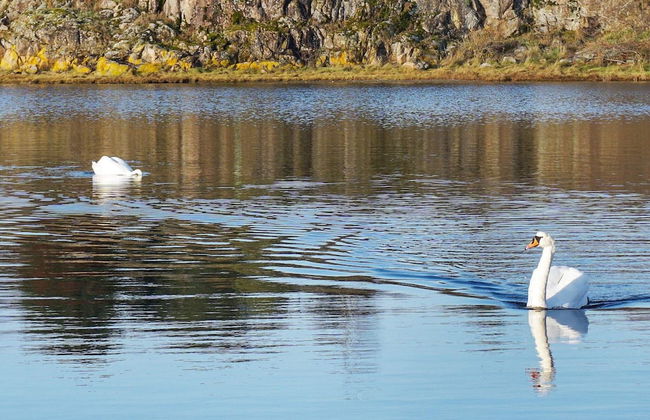 8 Person Holiday Home in Stromstad - Photo 26