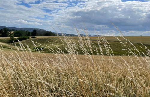 Urlaub im Oberstübchen - Foto 35
