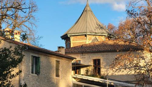 Château de Livière - Foto 3