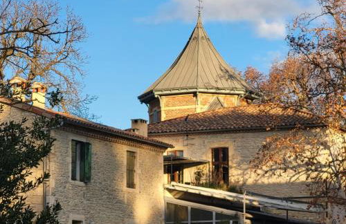 Château de Livière - Photo 23