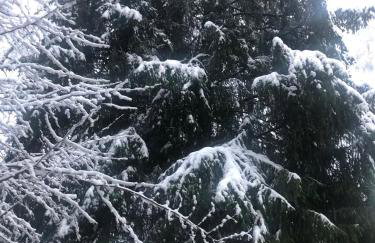 Fun Franz for 6 Persons - Foto 23