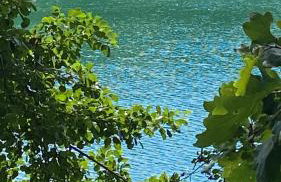 Stodola Rybojady - Foto 40