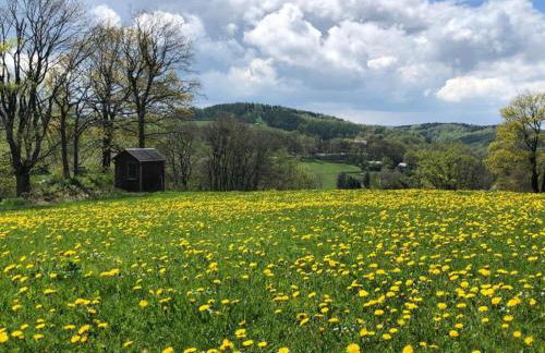 Grand Getaway in Deutschneudorf - Foto 37