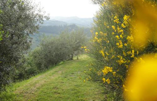 Villa Podere Quartarola - Foto 90