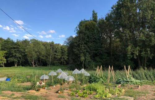 Au coeur de notre ferme céréalière - Foto 17