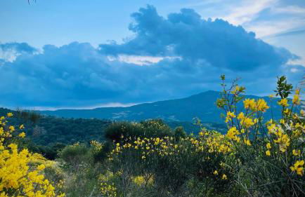 Il Poggio della Luna - Foto 33