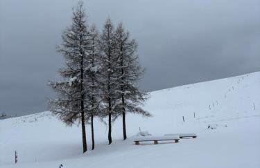 Tam Gdzie Rosną Poziomki - Foto 47