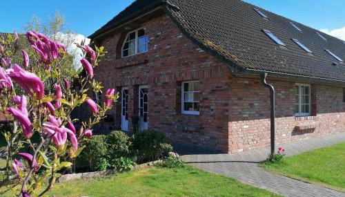Boddenhus auf Rügen - Ferienwohnungen und Pension - Foto 5