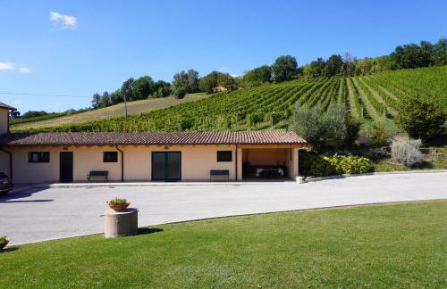 Le Vigne di Clementina Fabi - Foto 24