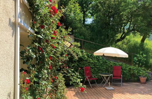 Haus Haselmaus - Zaunkönig - Foto 10