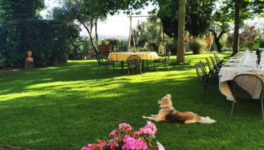 Agriturismo Cocò - Foto 4, Garden, Garden view
