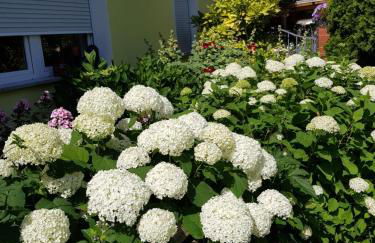 Ferienwohnung Lotte - Foto 41