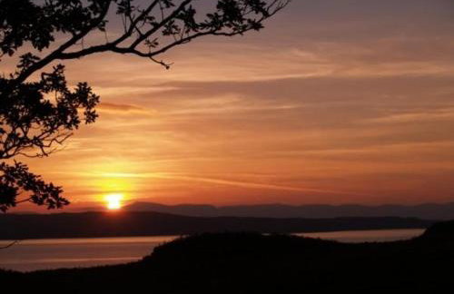 Down House - Photo 2