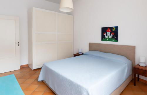 MarioSuite - Photo 4