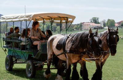 Panorama des Cimes - T3 avec Sauna privé et Vue imprenable sur la Station - Foto 33