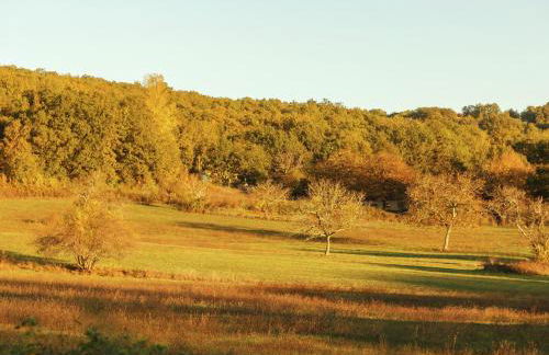 Forest Hideaway in Saint-Caprais - Foto 24