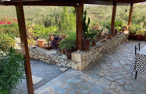 Villa Batsheva Private and Detached - Photo 17