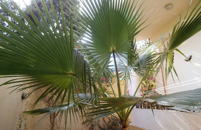 Villa in Luxor - Foto 15