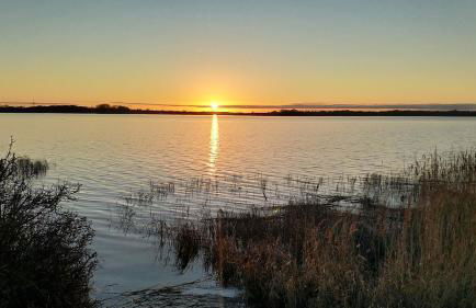 Ostsee Flair & Natur Idyll auf Rügen - Foto 37
