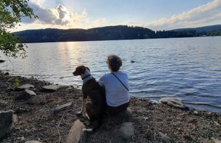 Alte Schmiede - Foto 20