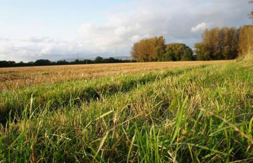 Riverside Retreat - Foto 17