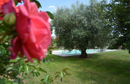 Favolosa Villa in Toscana - Foto 19