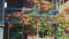 Edícula 2 quartos frente mar - Foto 4