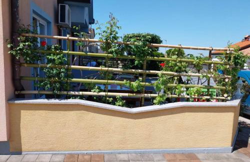 Villa Ružica - Photo 62