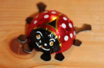 Ferienwohnung Uschi Willibald - Foto 15