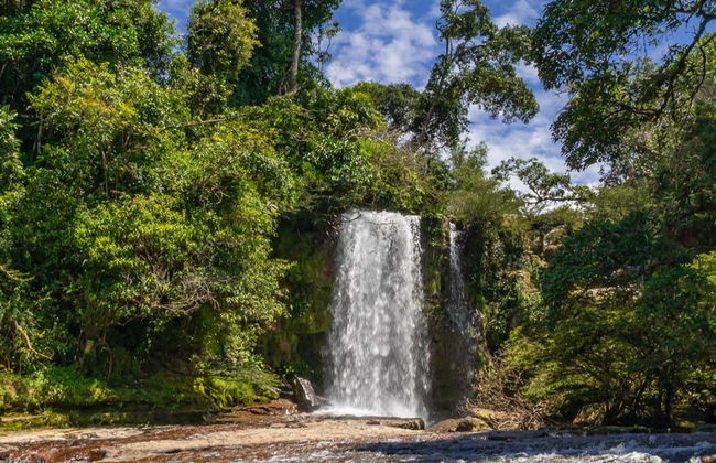 River Güejar Hiking Tour - Photo 5