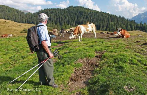 Casa Mariani-Tortoi - Foto 20
