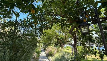 Depandance Casa Paolina - Foto 3