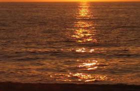 Tzanetos Seaside - Foto 5