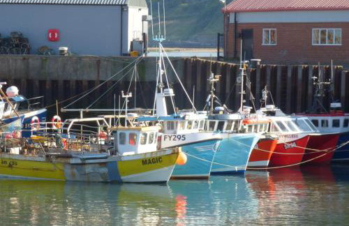 The Sequoia - Foto 24