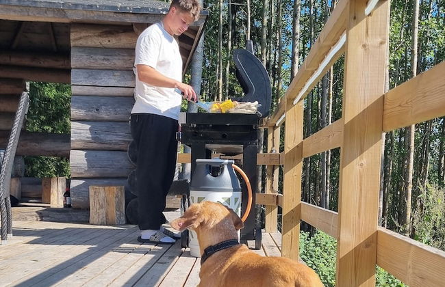 Villa Kaunisvirta - Photo 13