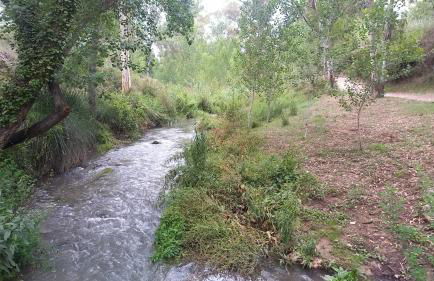 CasaJulis Chelva - Foto 39