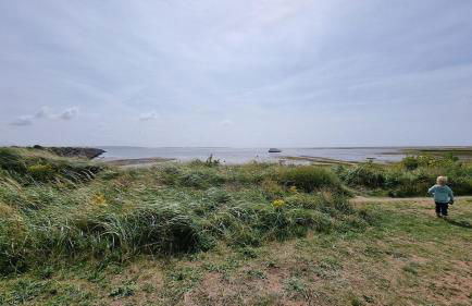 1 Sunset View - Foto 80