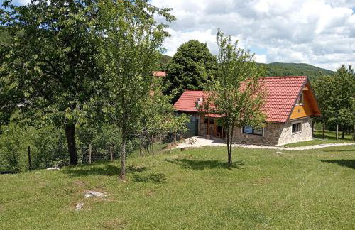 Kuća za odmor Dangubica - Photo 8