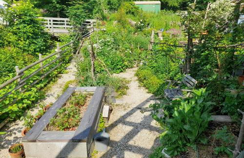 Im Naturgarten - Foto 33