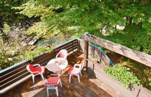 Am Traunufer Klaus Plenk inkl. Chiemgaukarte - Foto 12