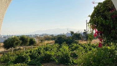 Vino suites - Foto 5