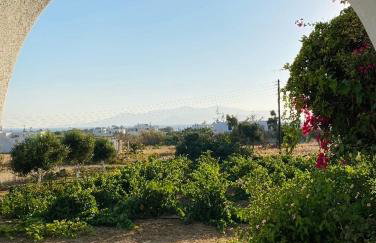 Vino suites - Foto 5