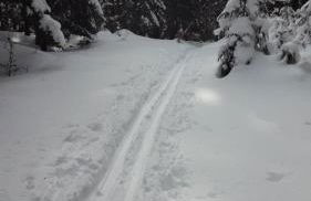 Ferienhaus Rosemarie Erlbach Vogtland - Foto 31