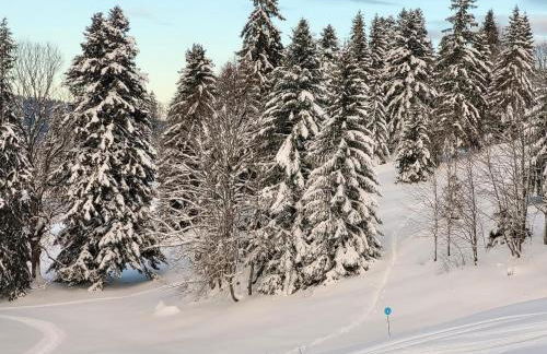 Chalet les Randonneurs spacieux 8 couchages - Foto 24