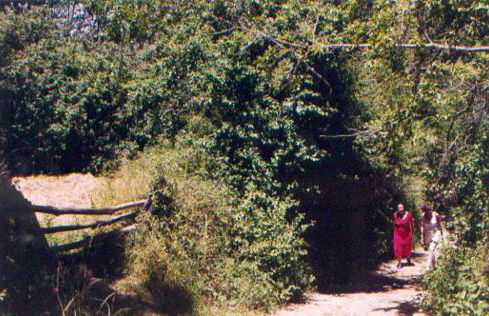 El Risco del Lomero, chimenea 4 Huesp max - Foto 99